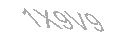 Güvenlik Kodu
