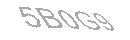 Güvenlik Kodu