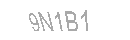 Güvenlik Kodu
