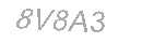 Güvenlik Kodu
