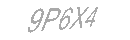 Güvenlik Kodu