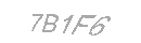 Güvenlik Kodu