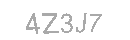 Güvenlik Kodu
