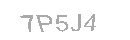 Güvenlik Kodu