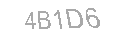 Güvenlik Kodu