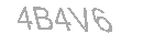Güvenlik Kodu