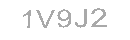 Güvenlik Kodu