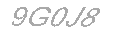 Güvenlik Kodu